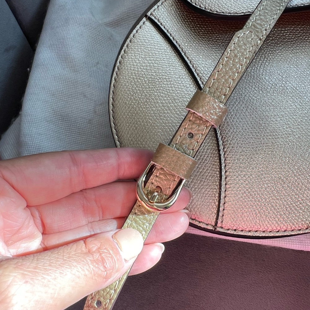 Dior saddle bag ultra rare champagne gold - Picture 10 of 15